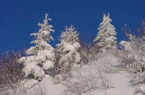Location mat&eacute;riel de ski Arripe Sports