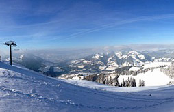 Les contamines