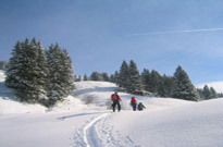 Location mat&eacute;riel de ski Skiset - Arc en Ciel