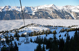 Vars